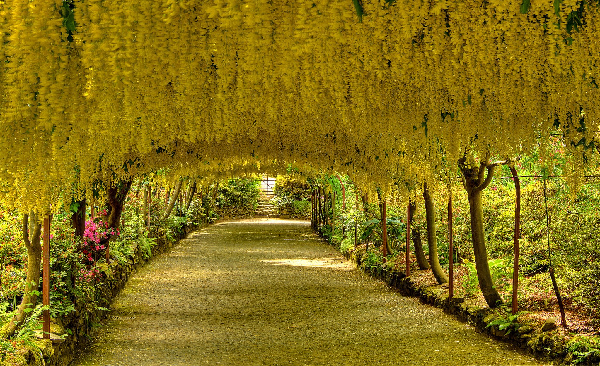 Gales, jardines y paisajes en flor