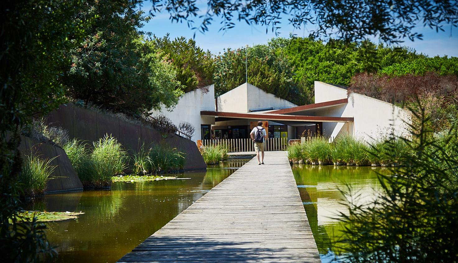 Barcelona és un jardí